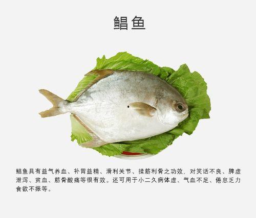 国产鲳鱼怎么做好吃视频,国产鲳鱼烹饪视频教程