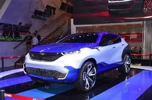 东莞收国产车视频